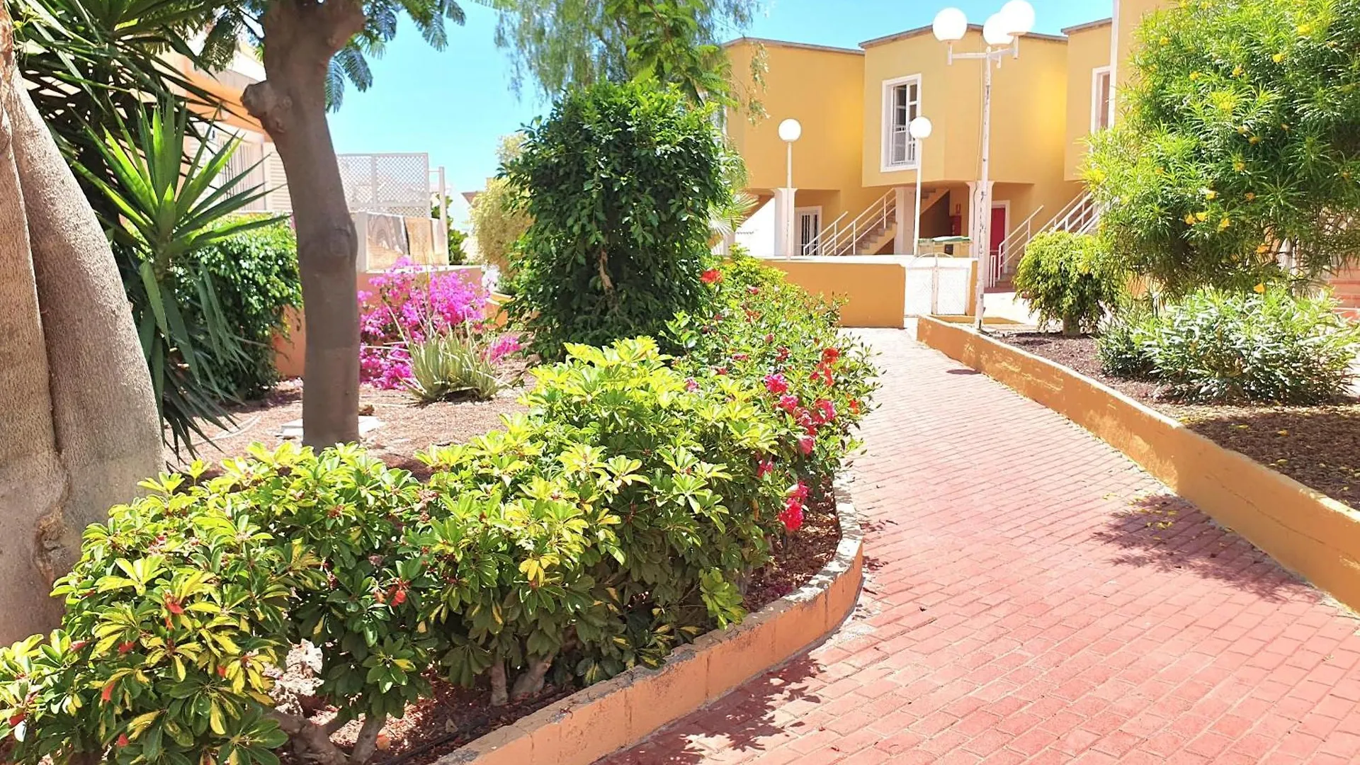 אדחה Apartment Orlando Torviscas Bajo